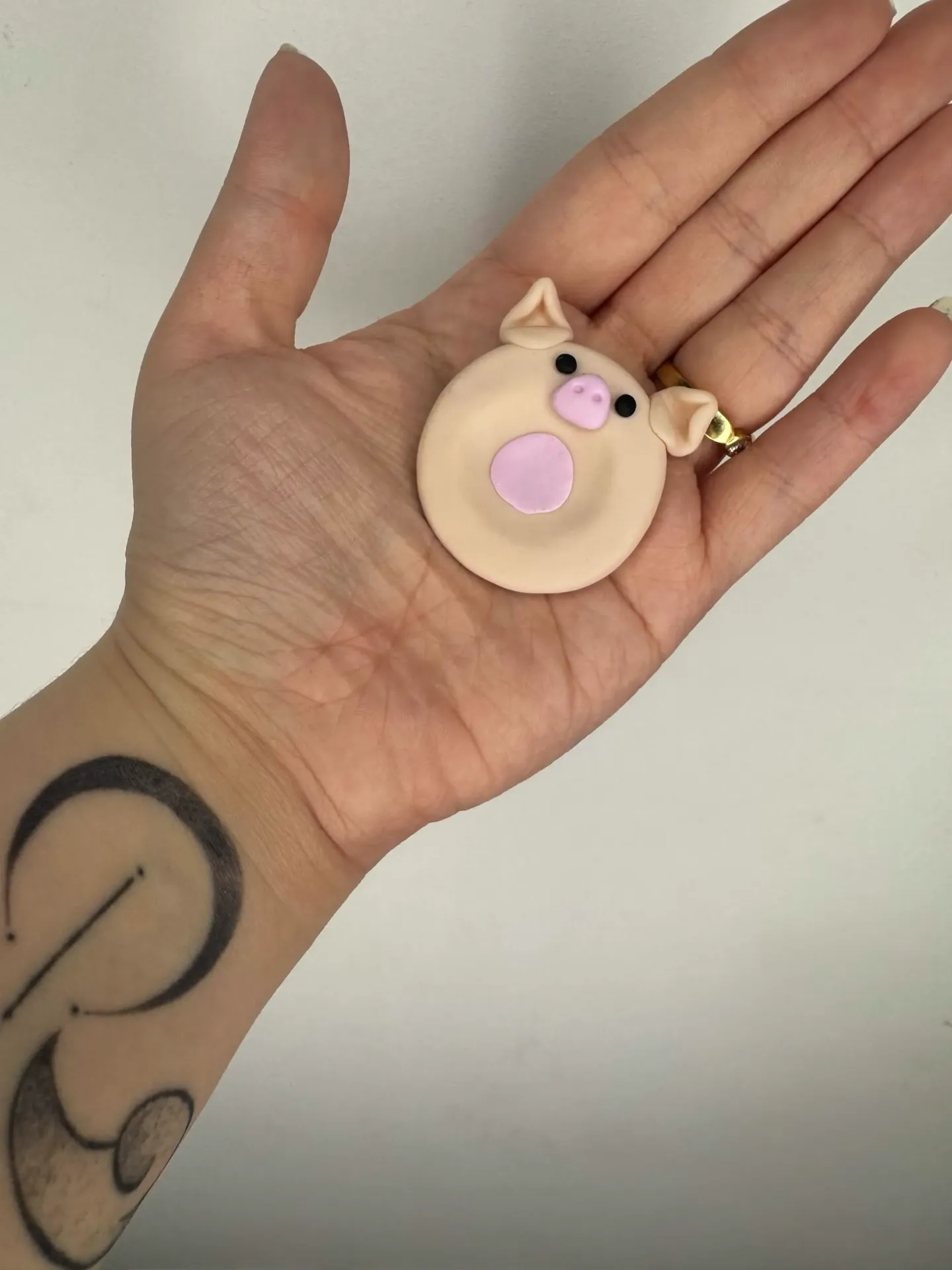 Worry Stone Cochon